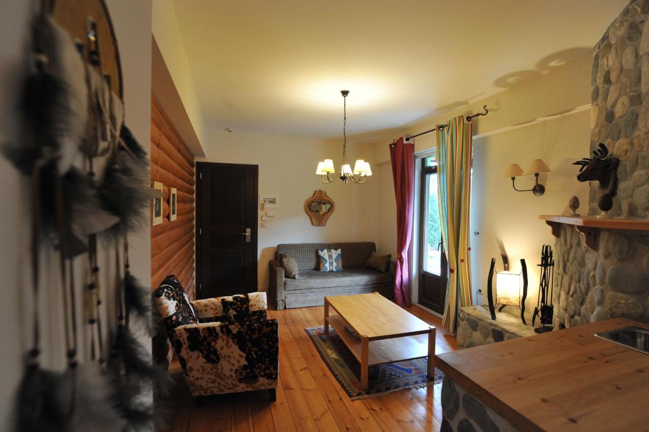 Vaela Hotel Cultural Resort Elatochori Extérieur photo