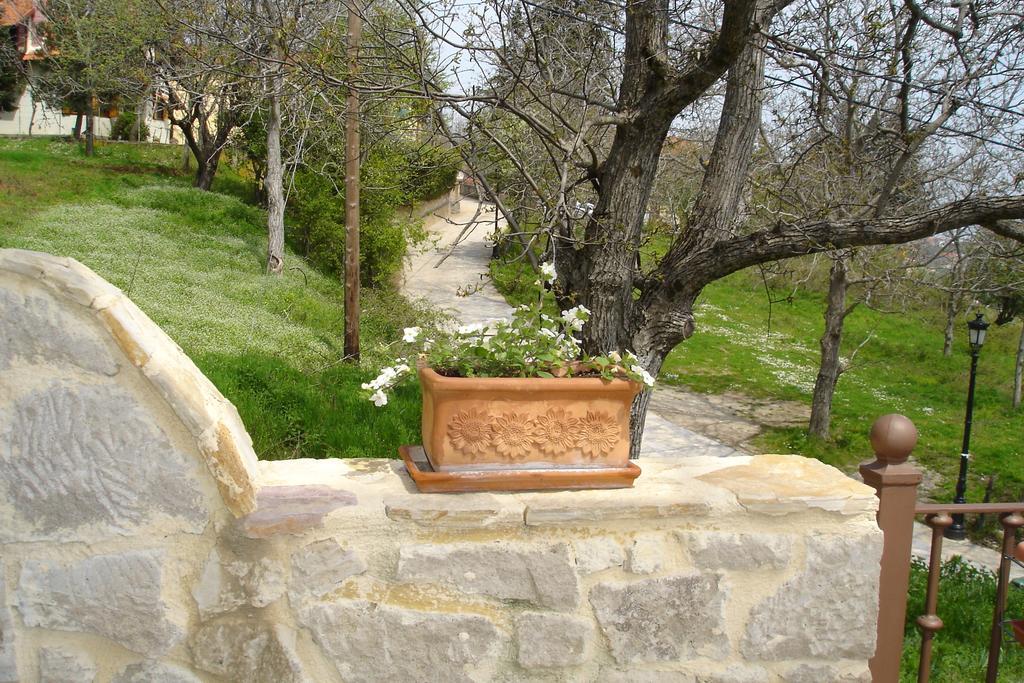 Vaela Hotel Cultural Resort Elatochori Extérieur photo